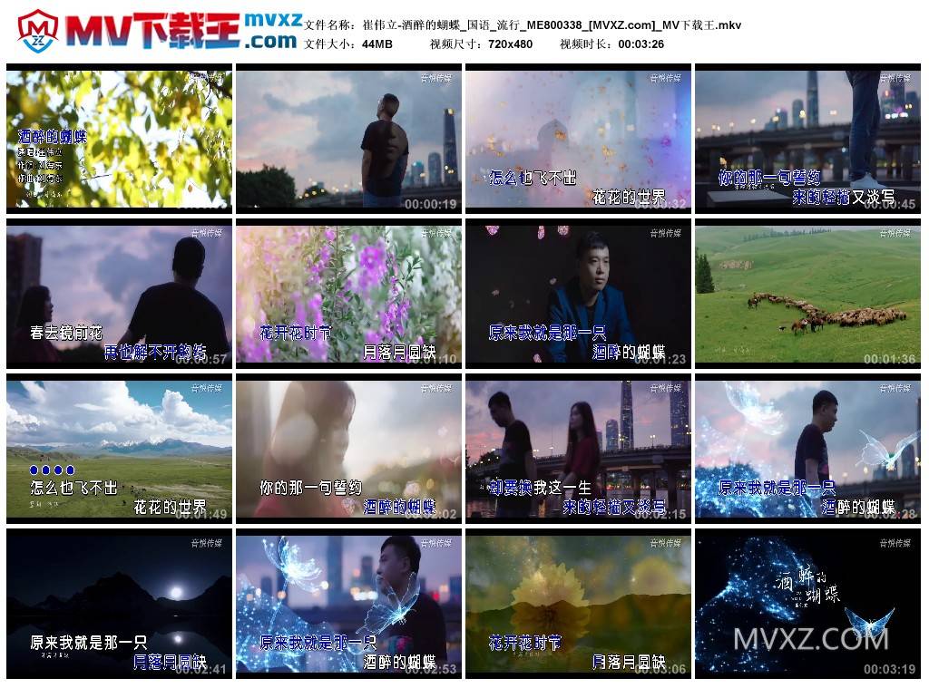 崔伟立-酒醉的蝴蝶_国语_流行_ME800338